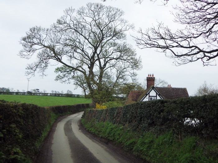 welsh lane