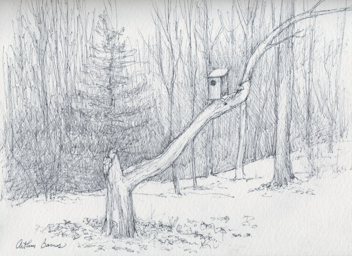 abandoned-bird-house-copy